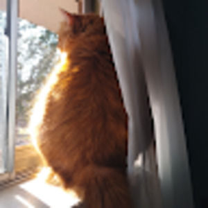 Meet your Posher, Beverly